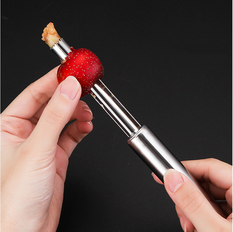 Stainless Steel Easy to use Pineapple Peeler Pineapple Corer