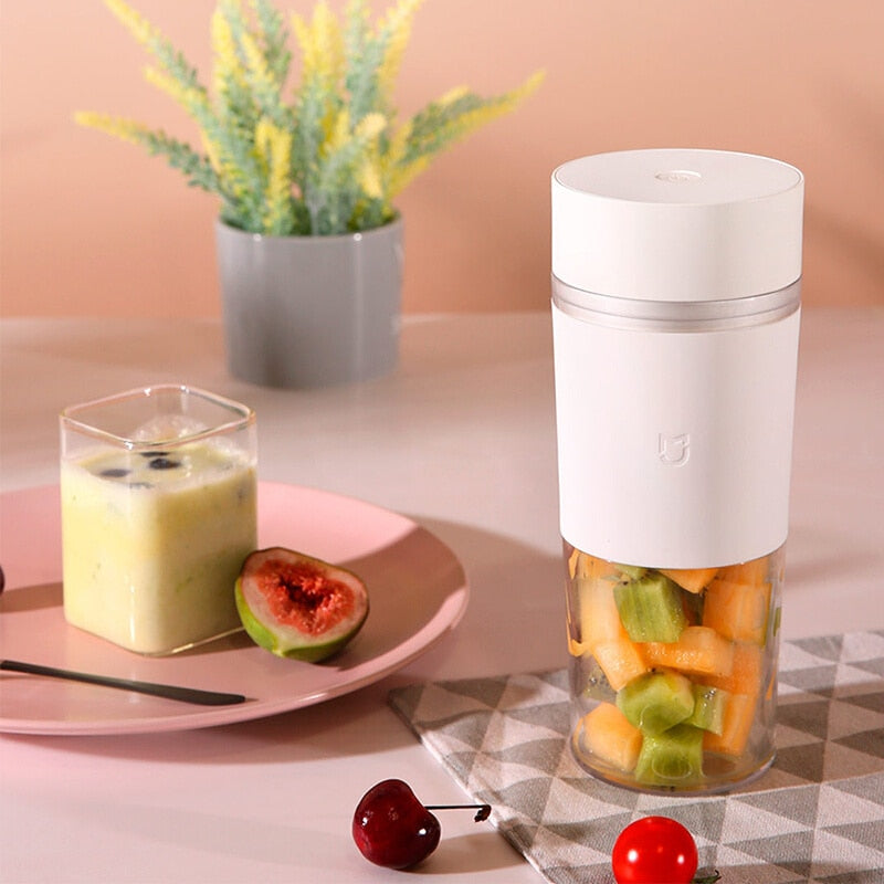 USB Mini Electric Stainless Steel Fruit Juicer