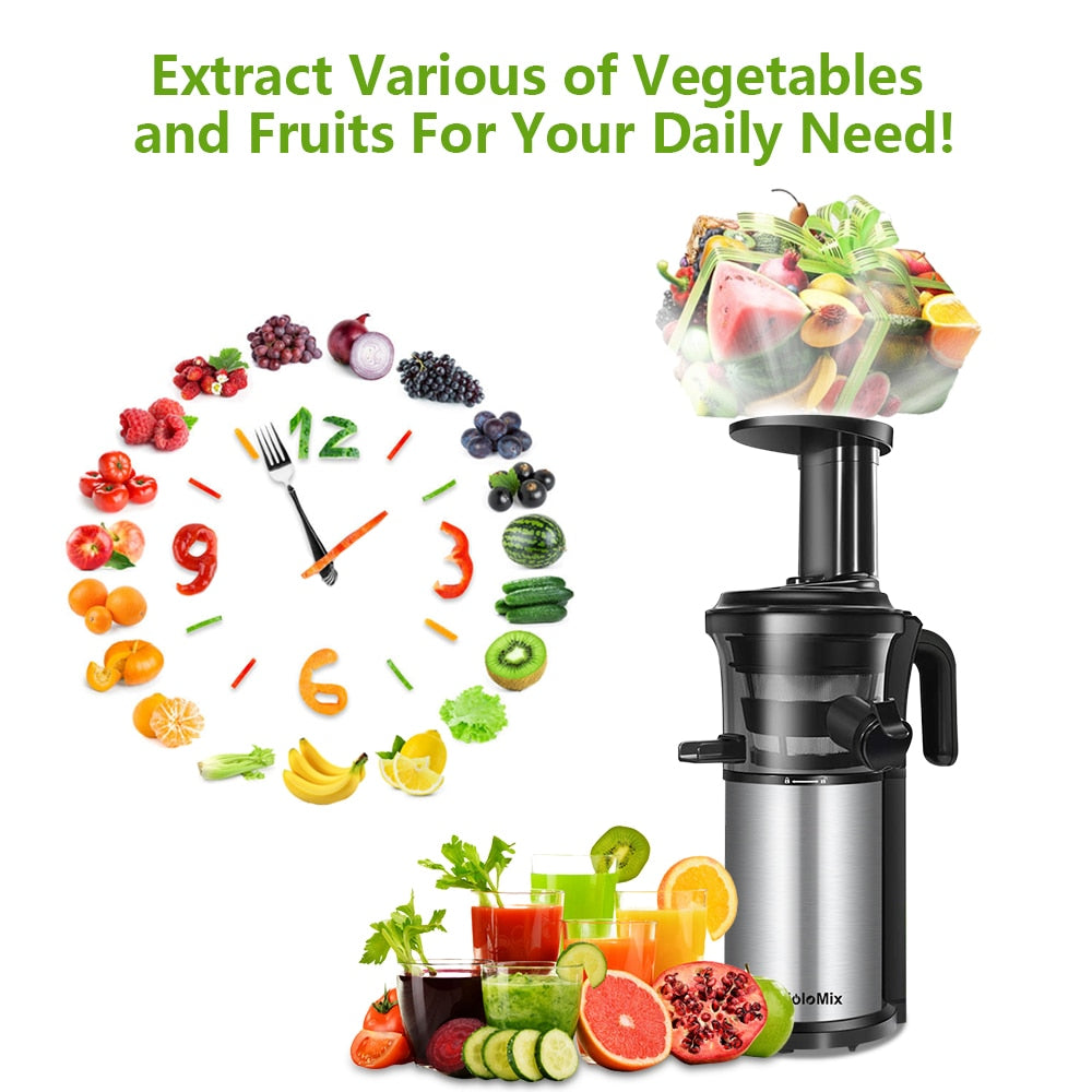 Slow Auger Juicer Fruit and Vegetable Juice