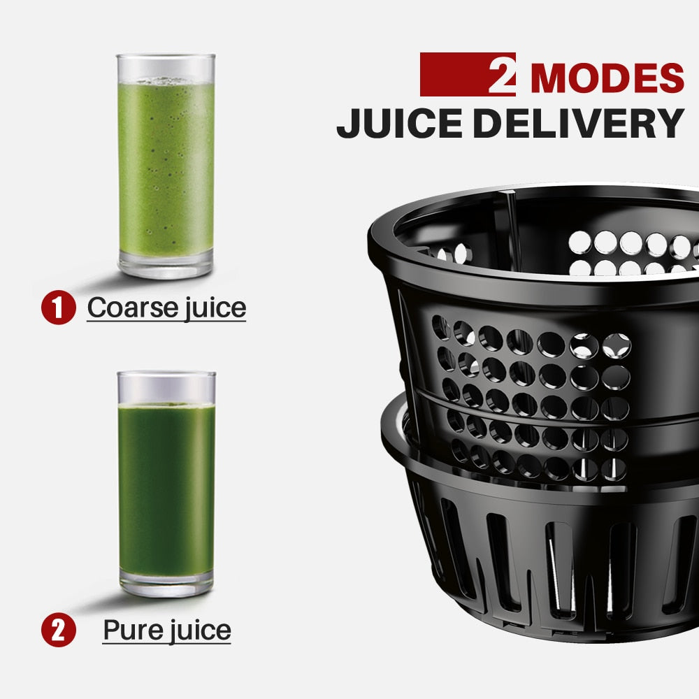 Juicer Screw Cold Press Extractor