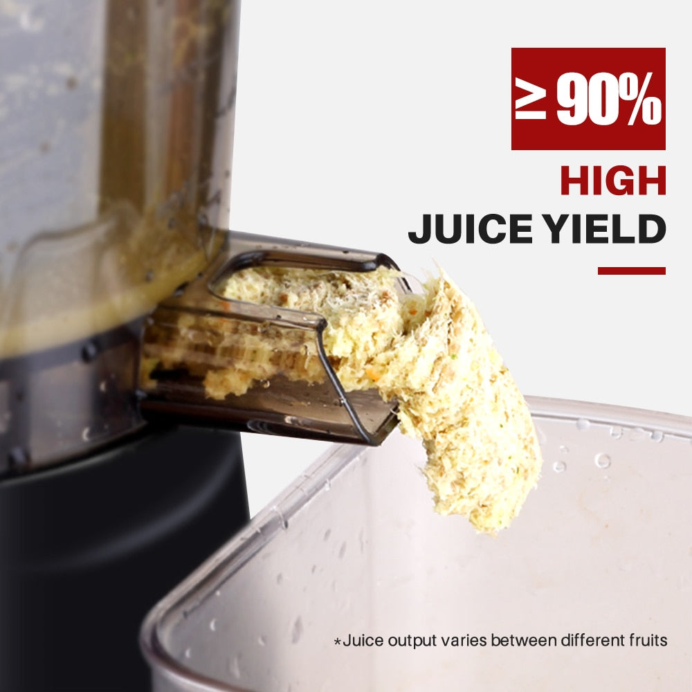 Juicer Screw Cold Press Extractor