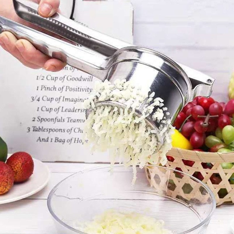 Juicer Squeezer Stainless Steel