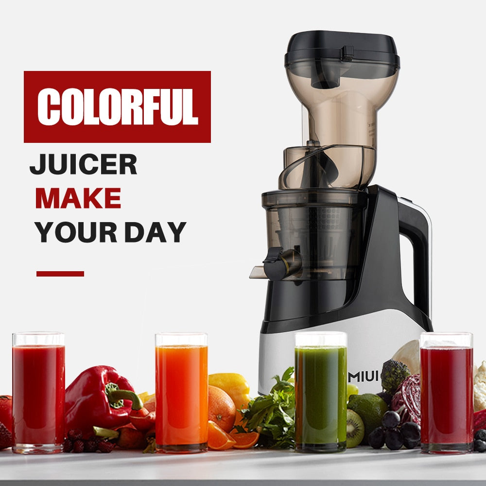 Juicer Screw Cold Press Extractor
