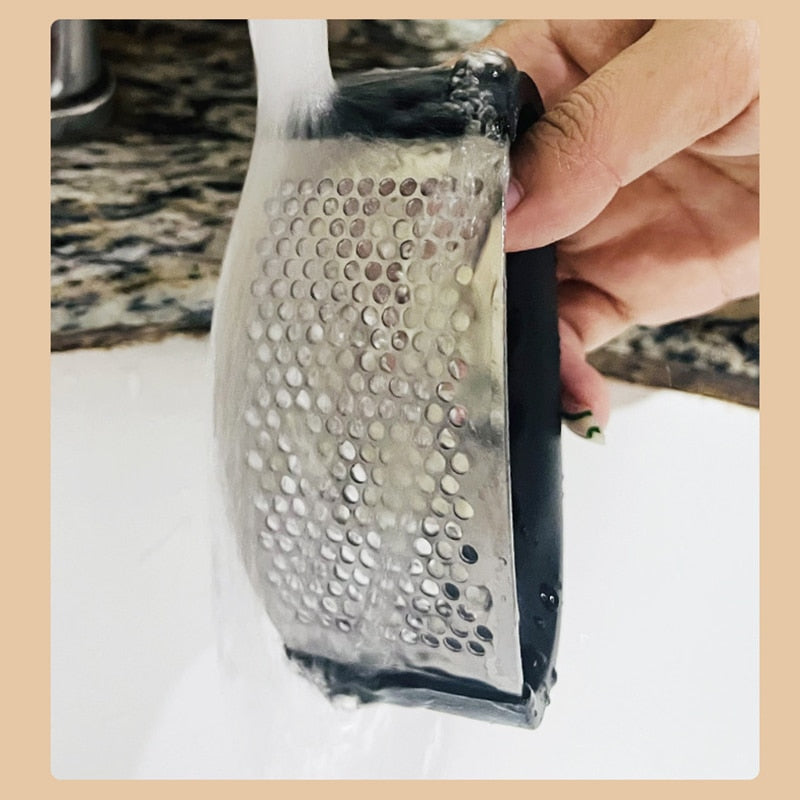 Stainless Steel Crush Garlic Press