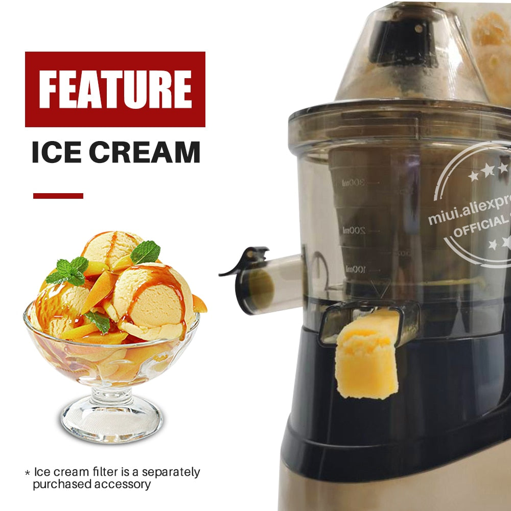 Juicer Screw Cold Press Extractor