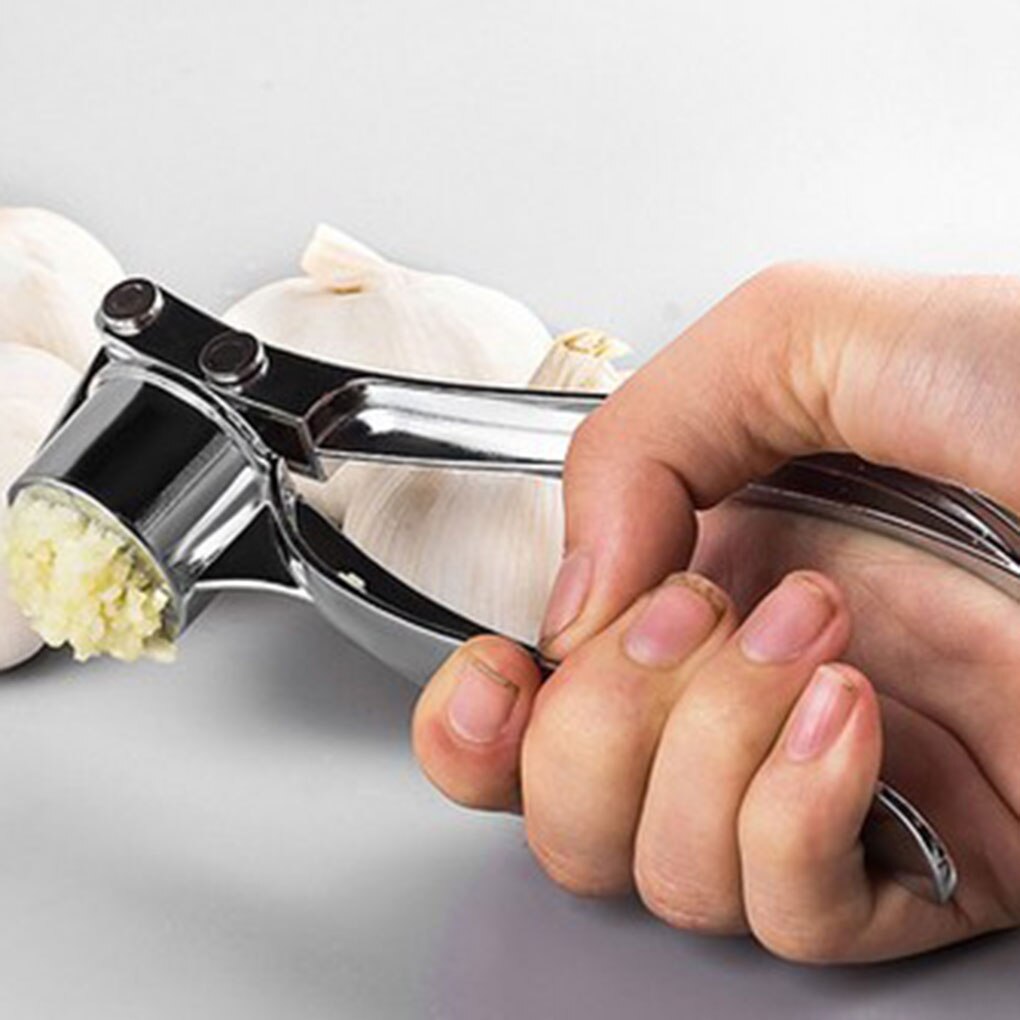 Kitchen Stainless Steel Garlic Crusher