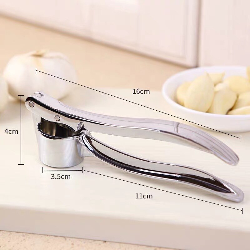 Kitchen Stainless Steel Garlic Crusher