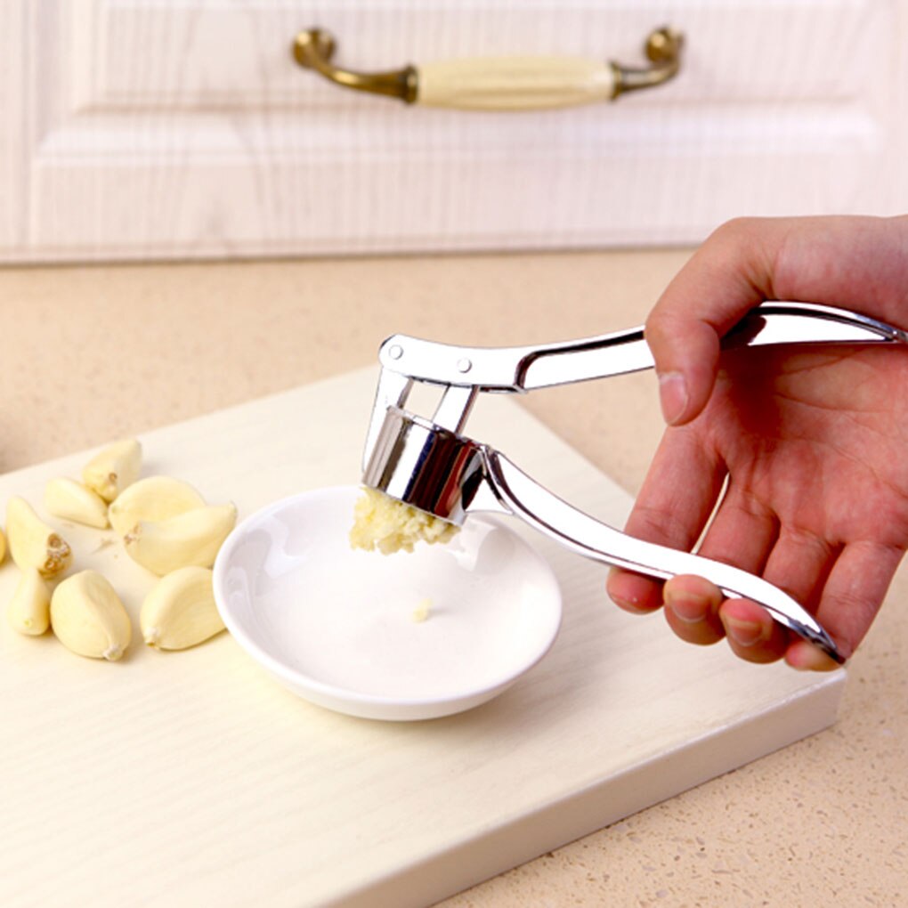 Kitchen Stainless Steel Garlic Crusher