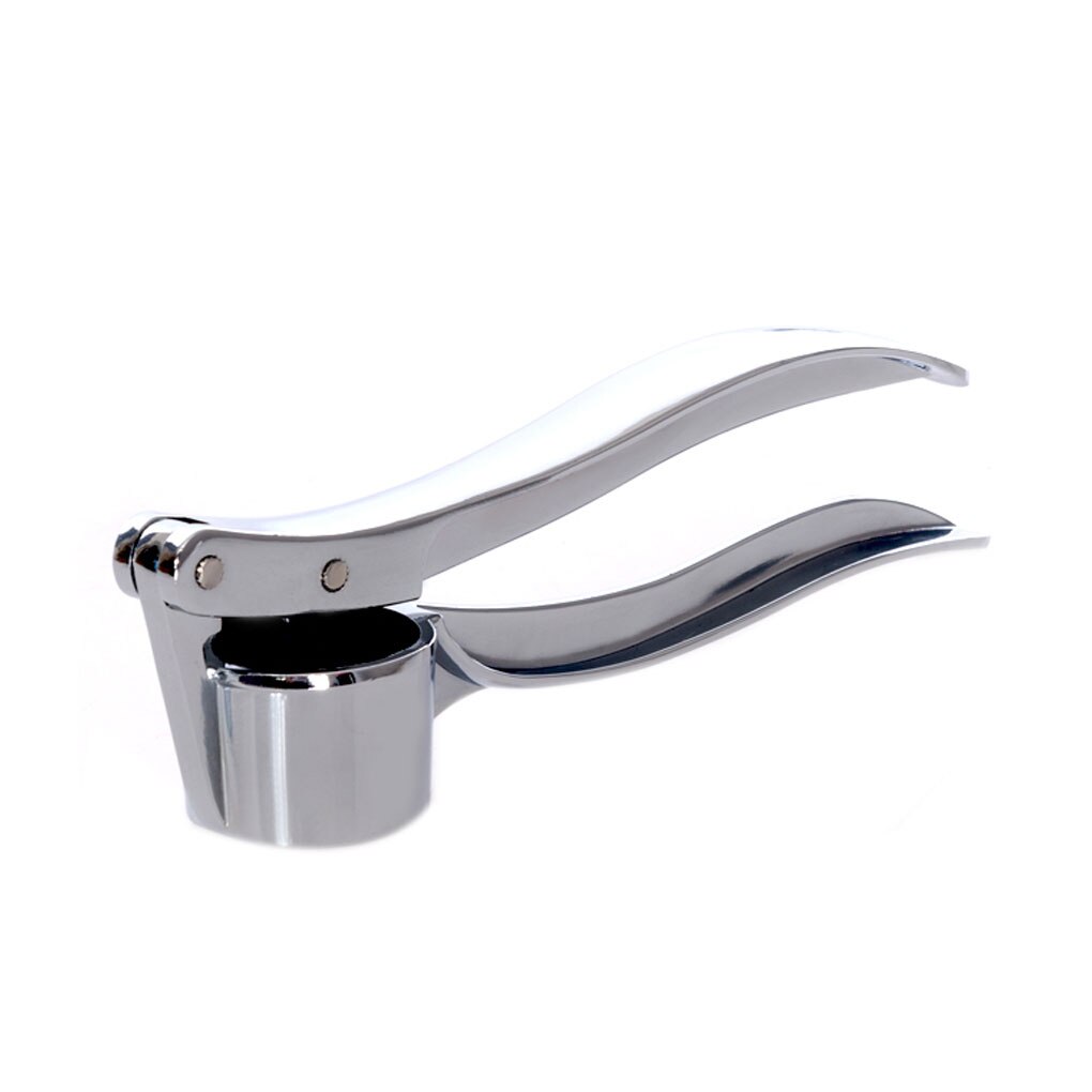 Kitchen Stainless Steel Garlic Crusher