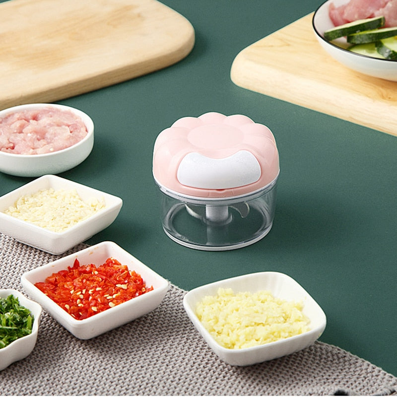 Multi-function Garlic Grinding Chopper Manual