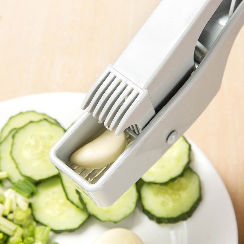 Stainless Steel Garlic Press Crusher