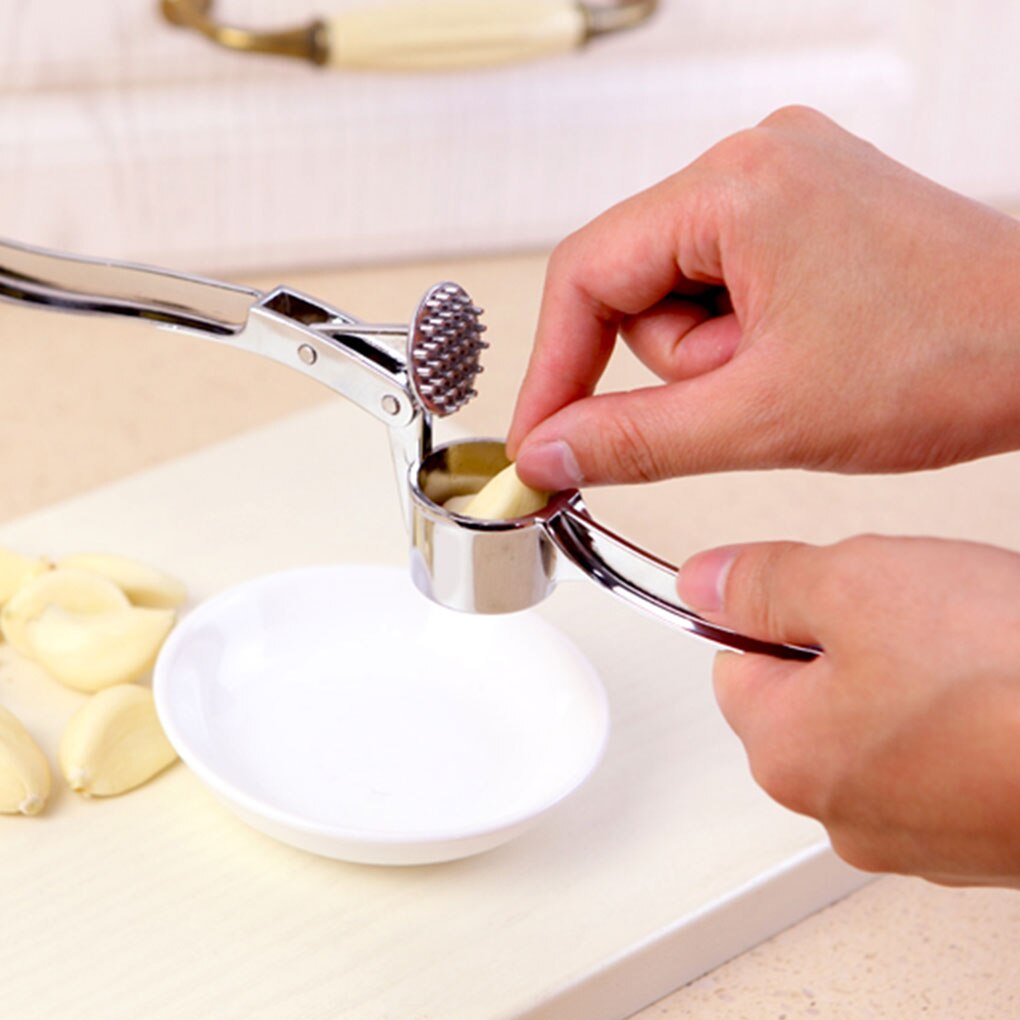 Kitchen Stainless Steel Garlic Crusher