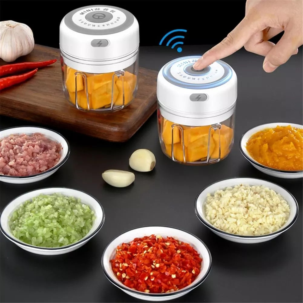 Electric Garlic Masher USB Mini Crusher