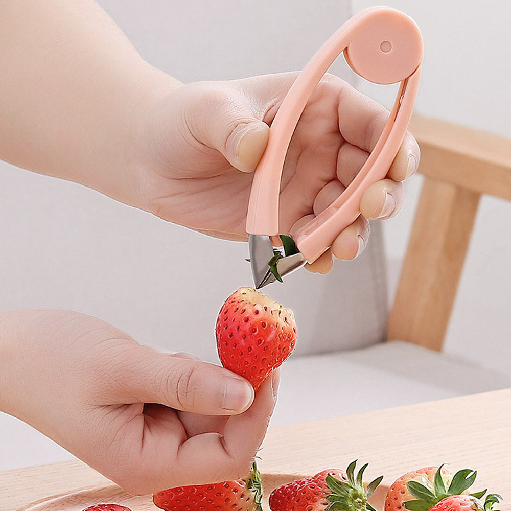 Strawberry Steel Pineapple Eye Peeler Fruit