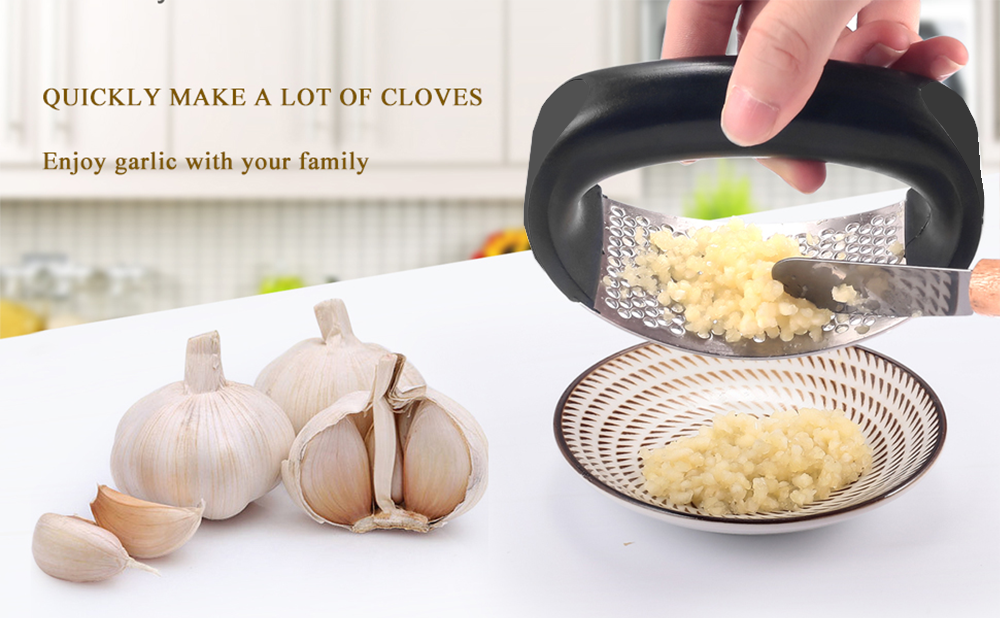Garlic Press Stainless Steel Manual Garlic Crusher