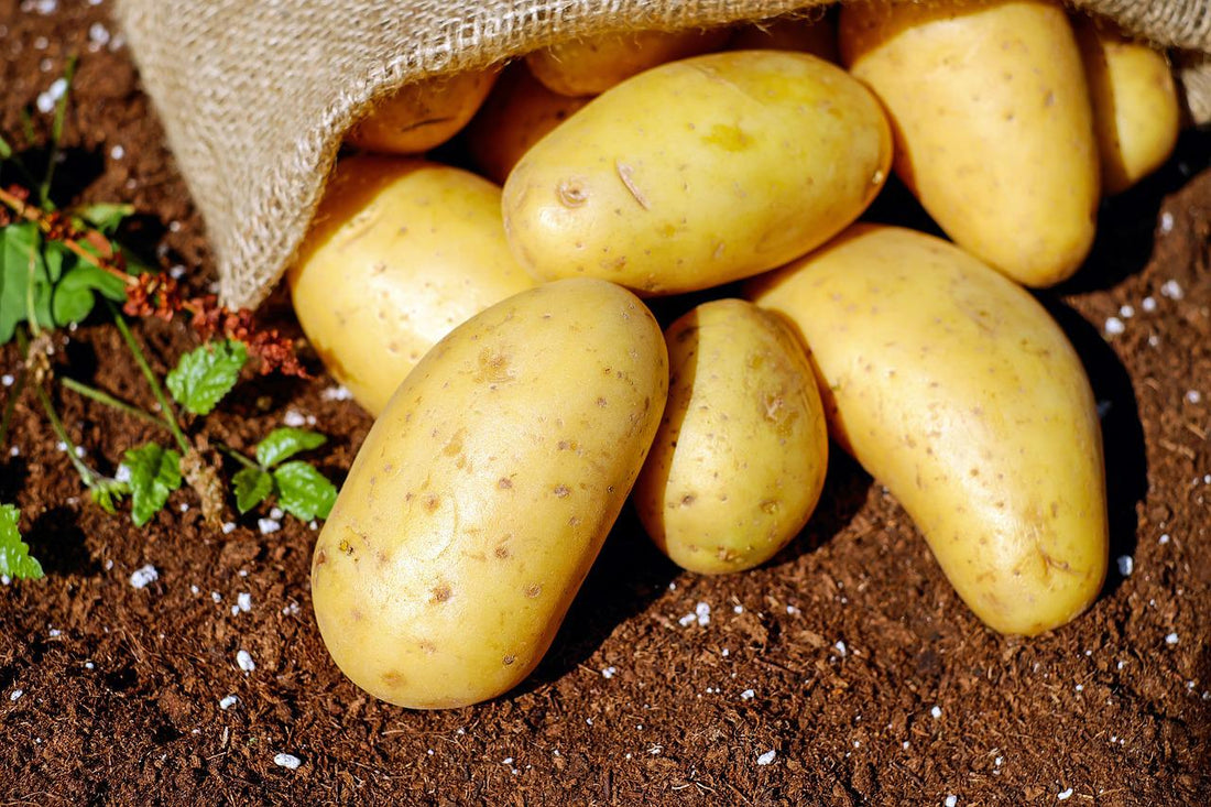 Potato Peelers - Safe and also Efficient Kitchen Area Devices