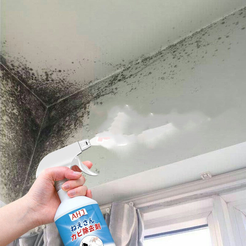 Wall To Remove Mildew Detergent Anti-mildew Artifact
