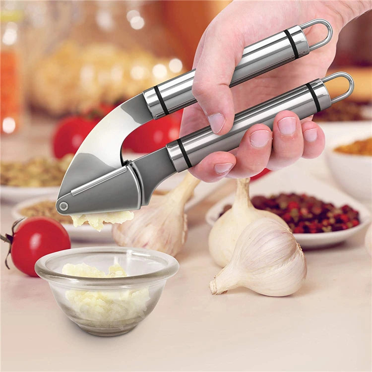 LMETJMA Garlic Press Kit Stainless Steel Garlic Press