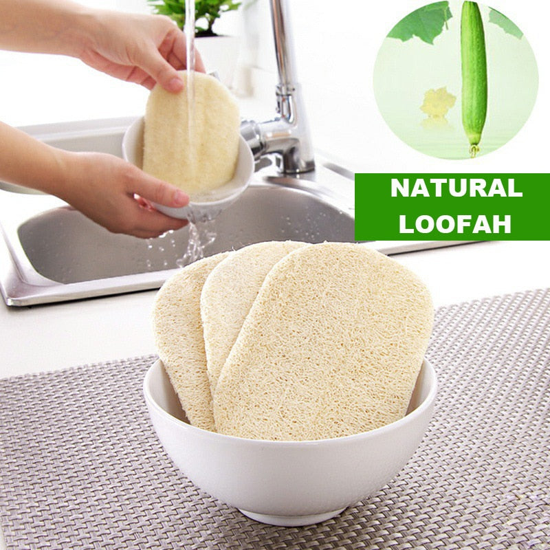 Floristic Dishwashing Natural Luffa Sponges