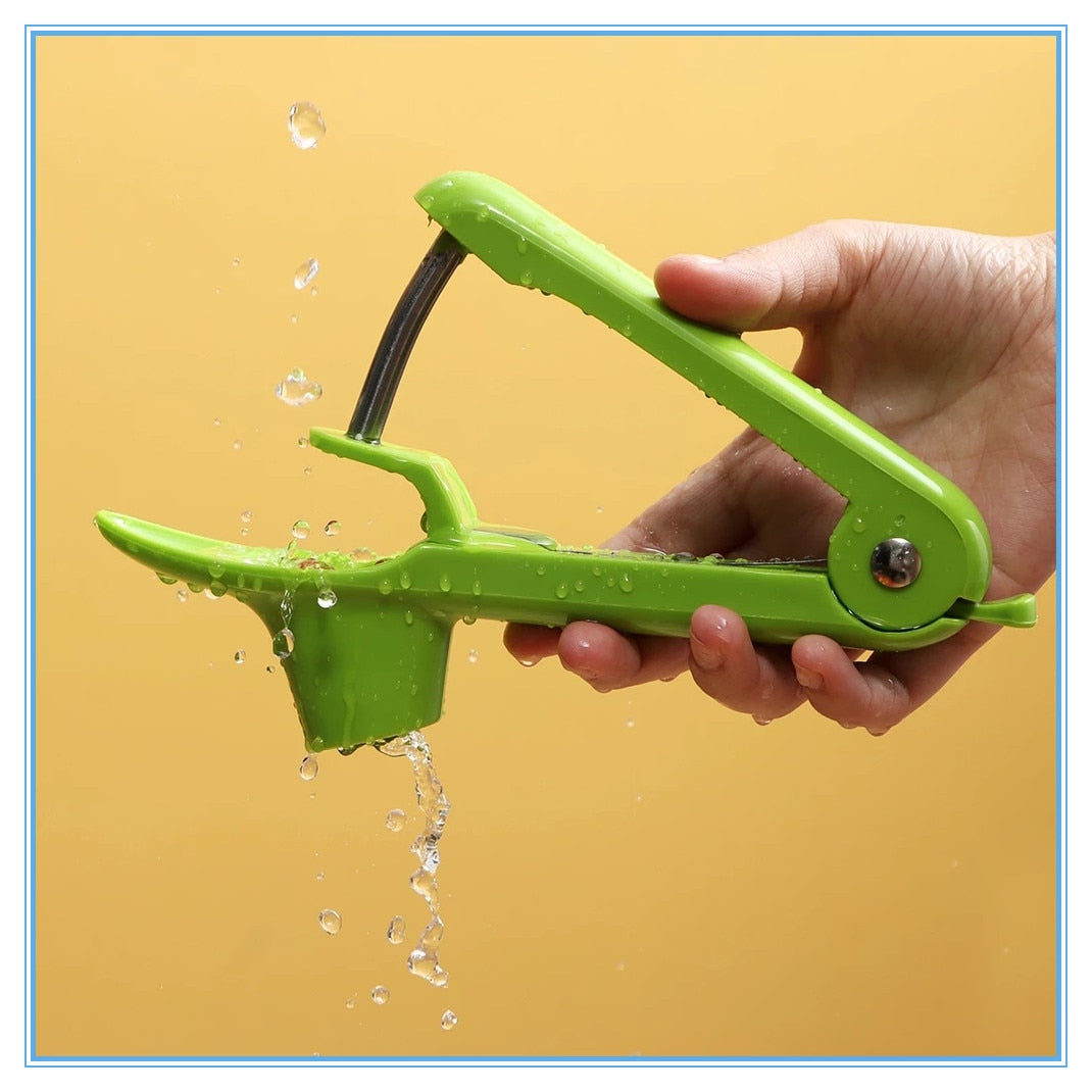 Cherry Seed Removal Olive Pitter Remover