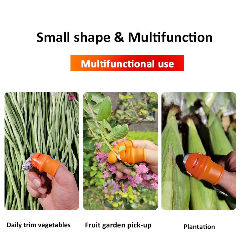 Gardening Tools Fruits Vegetable Thumb Knife