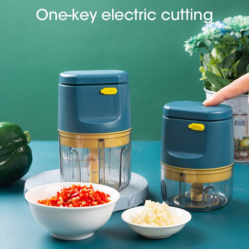 Electric Meat Grinder For kitchen