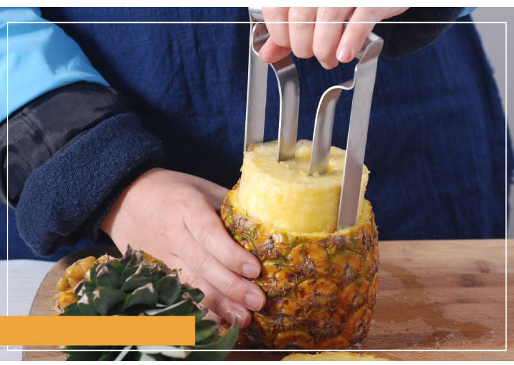 High Quality Stainless Steel Pineapple Corer